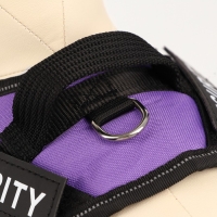 Шлейка К9 мягкая светоотражающая, размер ХS, ОГ 38-50 см, вес 3-6 кг, фиолетовая Шлейка К9 мягкая светоотражающая, размер ХS, ОГ 38-50 см, вес 3-6 кг, фиолетовая