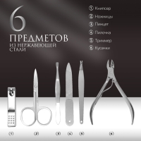 Набор маникюрный &laquo;Рептилия&raquo;, 6 предметов, в футляре, цвет коричневый/чёрный