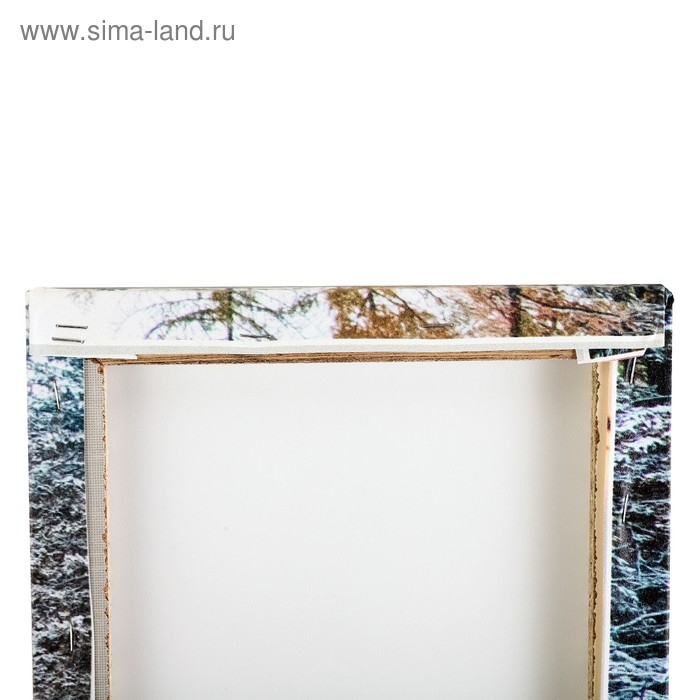 Модульная картина "Лазурь зимнего озера" (2-25х50, 2-25х67, 25х80 см) 80х140 см