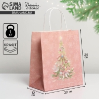 Пакет подарочный новогодний крафтовый &laquo;Новогодние сны&raquo;, 22 х 25 х 12 см, Новый год