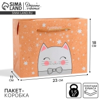 Пакет&mdash;коробка &laquo;Сюрприз!&raquo;, 23 х18 х11 см