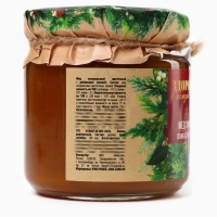 Новый год! Мёд и ложка &laquo;Здоровья в каждой ложке&raquo;, 240 гр