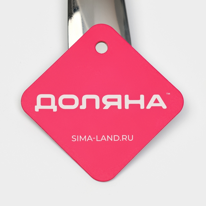 Ложка для соуса из нержавеющей стали Доляна Everyday, 50 мл, 26,5&times;10 см, толщина 3 мм, цвет серебряный