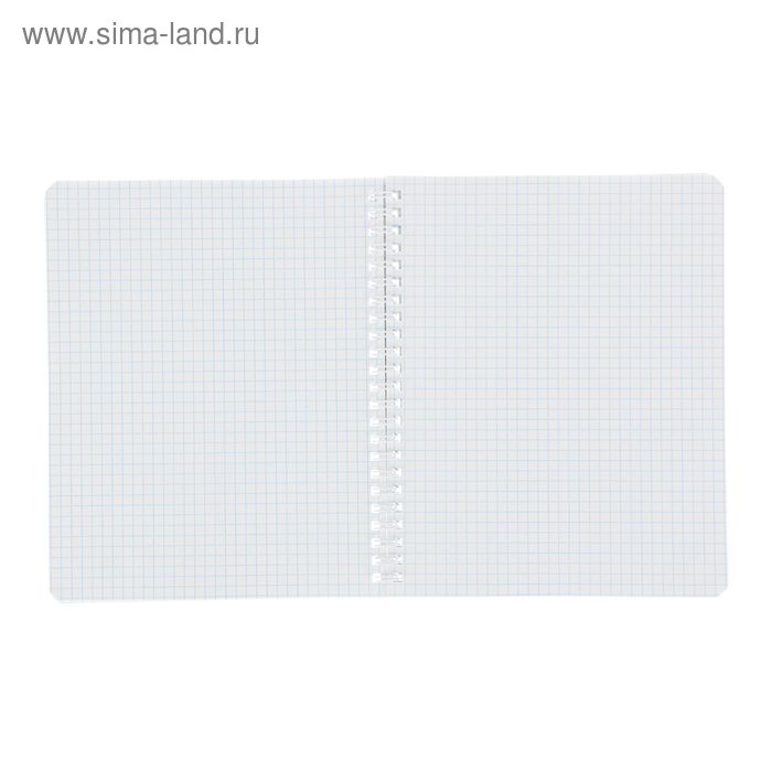 Тетрадь 80 листов, в клетку, на гребне, "Пушистые мордочки", картонная обложка, 4 вида МИКС