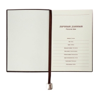 Органайзер на кольцах, B6, 116л, клетка, обл.кожзам, коричневый срез, Синий