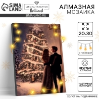 Алмазная мозаика на новый год с частичным заполнением с подрамником &laquo;Новогодняя ночь&raquo;, 20 х 30 см, с гирляндой, новогодний набор для творчества