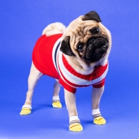 Свитер "Полоски", 3XL (ДС 46, ОШ 46, ОГ 38-64 см), красный