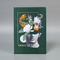 Папка для семейных документов &laquo;Docs&raquo;, 8 файлов А4