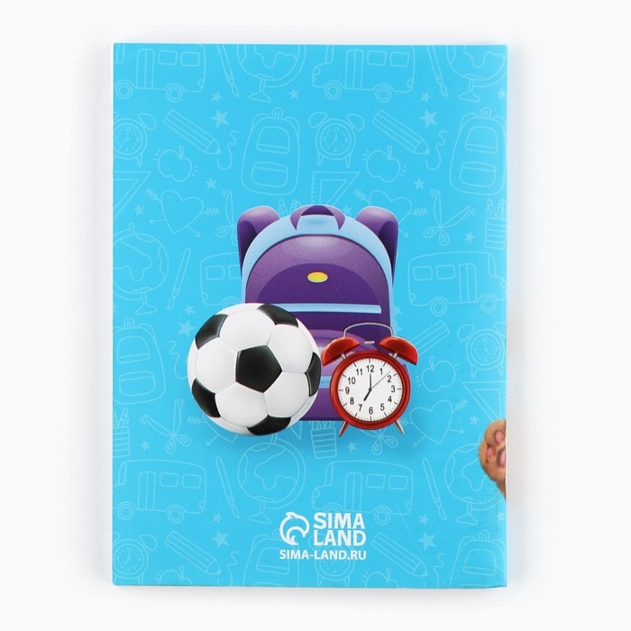 Подарочный набор на выпускной в папке 7 предметов &laquo;Выпускник детского сада&raquo;