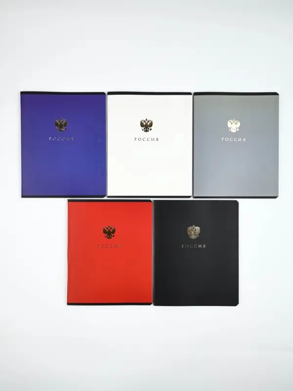 Тетради в клетку, 48 л., набор из 5 шт., блок №1 &laquo;Россия&raquo;