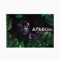 Альбом для рисования 40 листов А4 на пружине &laquo;Пантера&raquo; обложка 200 г/м&sup2;, бумага 100 г/м&sup2;.