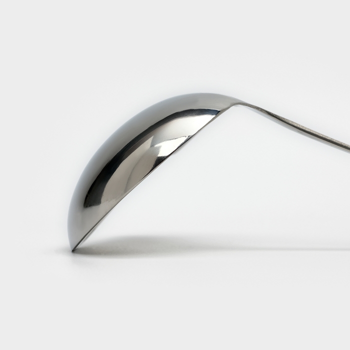 Ложка для соуса из нержавеющей стали Доляна Everyday, 50 мл, 26,5&times;10 см, толщина 3 мм, цвет серебряный