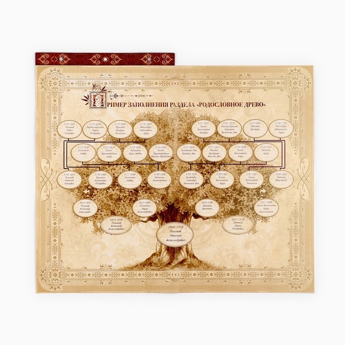 Родословная книга с рамкой под фото &laquo;Семейная летопись&raquo;, 22,5 х 23,7 см.