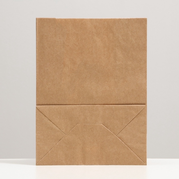 Пакет крафтовый, бумажный, фасовочный, прямоугольное дно, 20 шт., 22 х 12 х 29 см, 70 г/м2