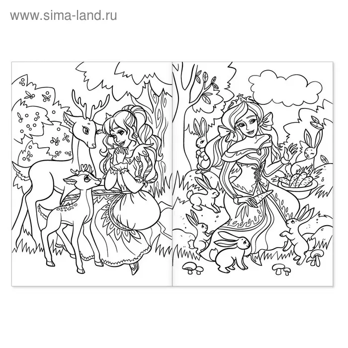 Раскраска &laquo;Волшебное королевство&raquo;, 16 стр., формат А4
