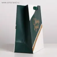 Пакет подарочный новогодний ламинированный &laquo;Чудес в Новом году&raquo;, MS 18 х 23 х 10 см