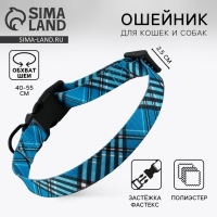 Ошейник &laquo;Джентльмен&raquo;, застёжка - фастекс, 2.5 см, 40-55 см