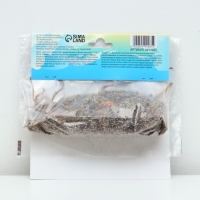 Лилии Трубчатые смотрящие вверх Yellow Planet, луковица в пакете с перфорацией, р-р 12/14, 2 шт.