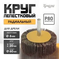 Круг лепестковый радиальный ТУНДРА, 60&times;20&times;6 мм, Р80