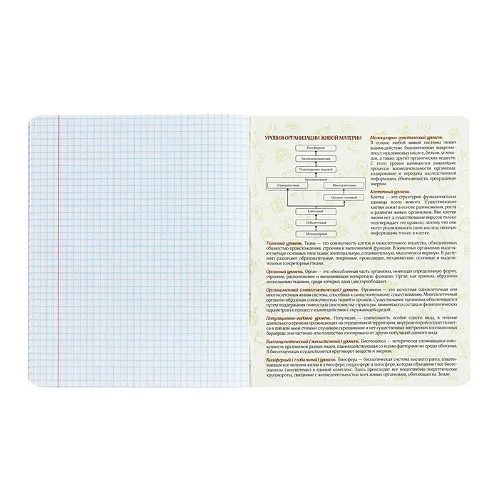 Тетрадь предметная Calligrata TOP "Абстракция", 48 листов в клетку Биология, со справочным материалом, обложка мелованный картон, голографическая ламинация, блок офсет