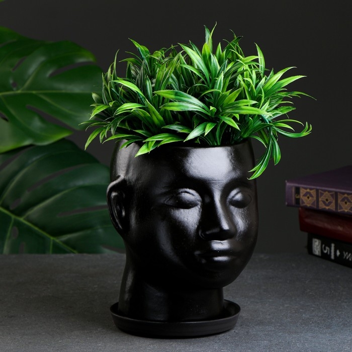 Горшок - органайзер Горшок - органайзер "Голова" черное, 3 л/ 24х19см