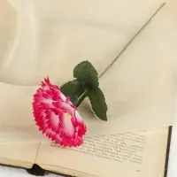 Цветы искусственные &laquo;Гвоздика&raquo;, h=25 см, розовые