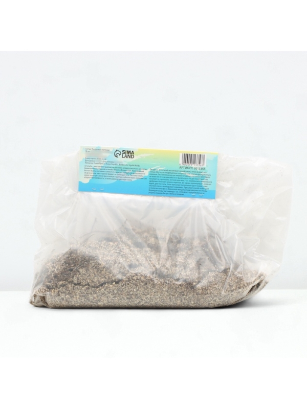 Астильба Арендса Weisse Gloria многолетник, корневище в торфогрунте, р-р II, 2 шт.