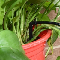 Набор капельниц, с гидромуфтой, 1 шт. , Greengo Набор капельниц, с гидромуфтой, 1 шт. , Greengo