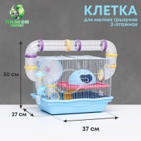 Клетка для грызунов "Пижон", укомплектованная с туннелем, 37 х 27 х 30 см, синий Клетка для грызунов "Пижон", укомплектованная с туннелем, 37 х 27 х 30 см, синий