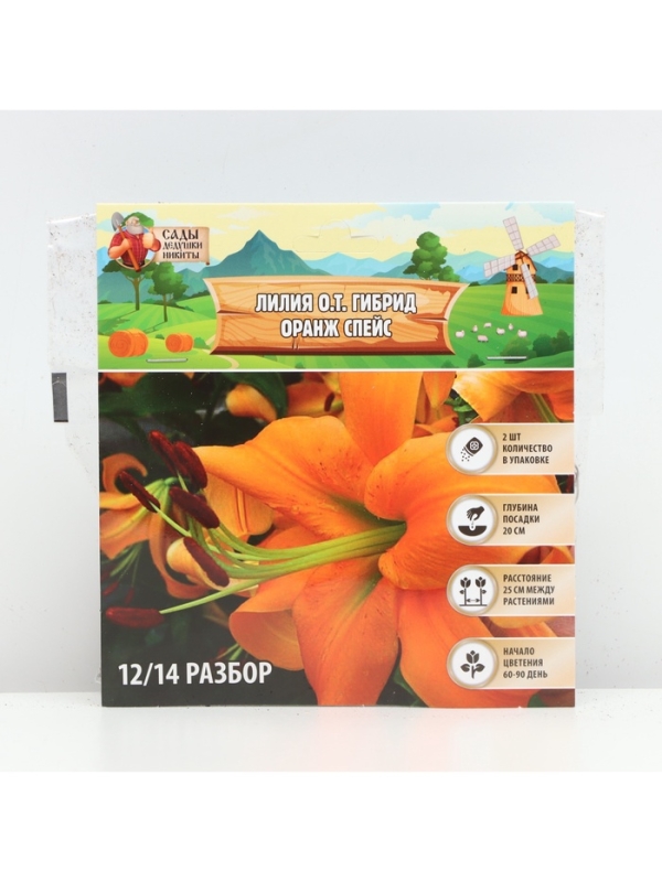 Лилия О.Т. Гибрид Orange Space, луковица в пакете с перфорацией, р-р 12/14, 2 шт.
