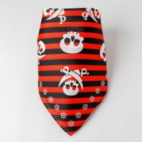 Бандана &laquo;Настоящий пират&raquo;, детская, 50х50 см