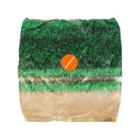 Семена газонной травы "Зеленый уголок","Ремонтный", 0,75 кг Семена газонной травы "Зеленый уголок","Ремонтный", 0,75 кг