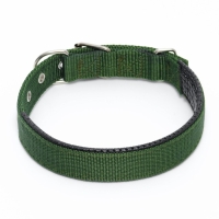 Ошейник "Комфорт" комбинированный, 55 х 2,5 см, ОШ 40-50 см, зелёный