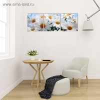 Модульная картина "Белые ромашки" (3-35х35) 35х105 см