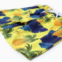 Купальные трусы детские MINAKU "Ананасы" рост 122-128 см Купальные трусы детские MINAKU "Ананасы" рост 122-128 см