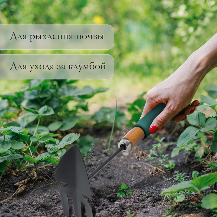 Мотыжка комбинированная Greengo, длина 30 см, деревянная ручка с поролоном Мотыжка комбинированная Greengo, длина 30 см, деревянная ручка с поролоном