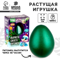 Змея растущая в воде. Растущие игрушки «Вырасти своего питомца. Змея», символ года 2025 Змея растущая в воде. Растущие игрушки «Вырасти своего питомца. Змея», символ года 2025