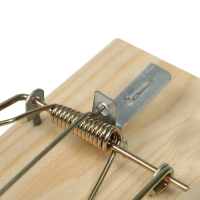 Крысоловка, 6 &times; 12 см, деревянная, Greengo