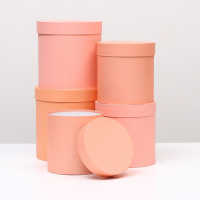 Набор круглых коробок 5 в 1 "Краски", персиковый, 25 х 25 х 25 - 19 х 19 х 19 см