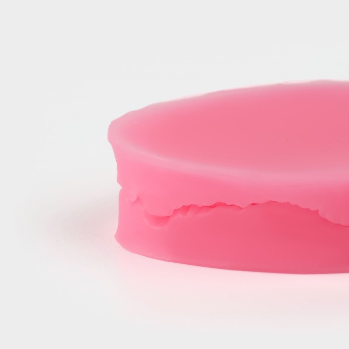 Молд &laquo;Лист тропических растений&raquo;, силикон, 2 шт, 6,5&times;4&times;2,3 см, цвет МИКС