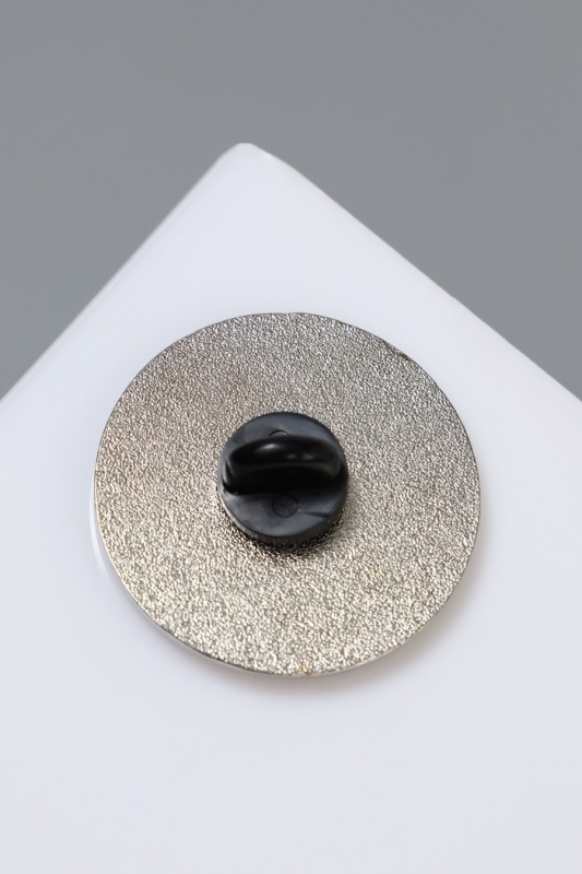 Брошь &laquo;Россия&raquo;, цветная в серебре