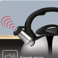 Чайник для плиты из нержавеющей стали C7922024, 3 л