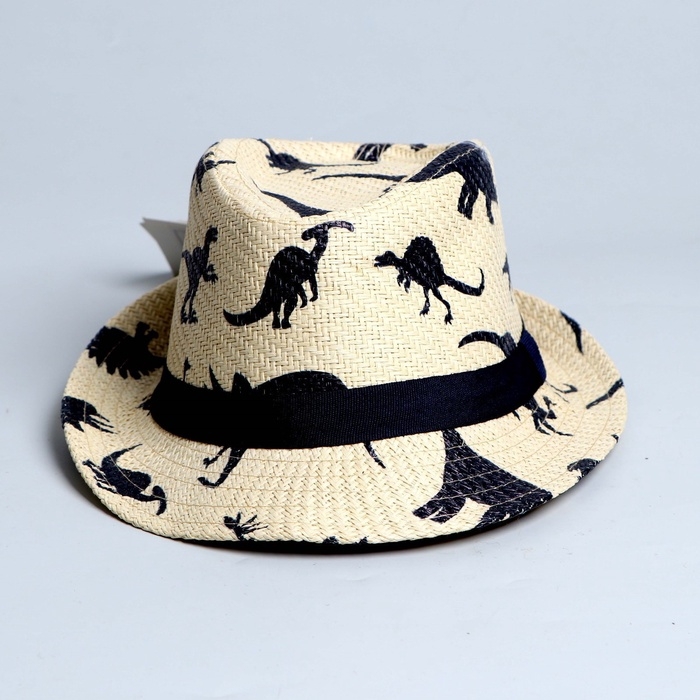 Панама детская соломенная для мальчика &laquo;Динозаврики&raquo;, р-р 52-54