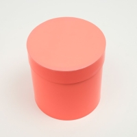 Набор шляпных коробок 5 в 1 "Коралл", 20 × 20 × 20‒13,5 × 13,5 × 13,5 см Набор шляпных коробок 5 в 1 "Коралл", 20 × 20 × 20‒13,5 × 13,5 × 13,5 см