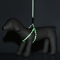 Комплект со светоотражающей лентой, ошейник 120 х 1 см, ОГ 26-40 см, зеленый