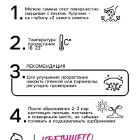 Семена  цветов Цинния Шаровидная, смесь окрасок, О, 0,5 г