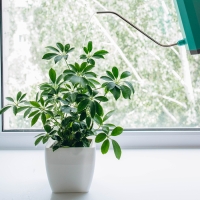 Кашпо для цветов, 13 &times; 13 см, 1,5 л, пластик, белое