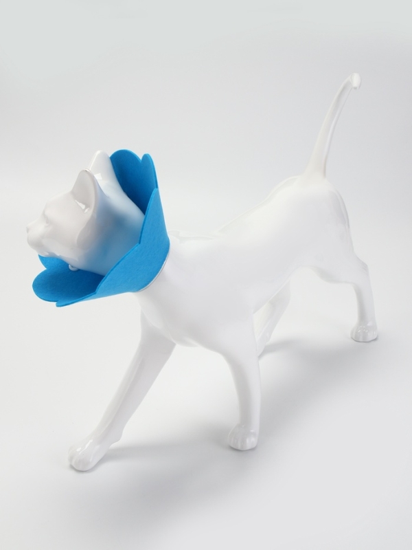 Ветеринарный воротник из фетра "Ромашка", размер L, синий