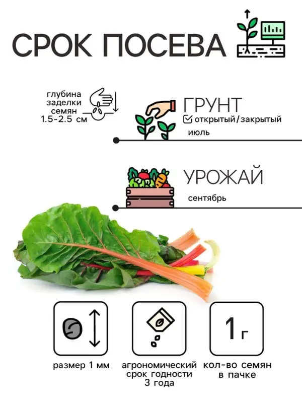 Семена Мангольд "Павлиний хвост", смесь, 1 г