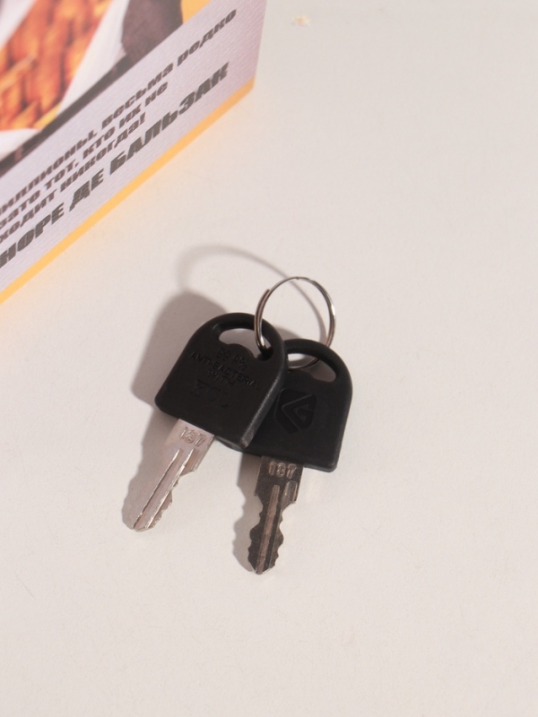 Сейф-книга дерево кожзам "Как стать миллионером" тиснение 21х13х5 см